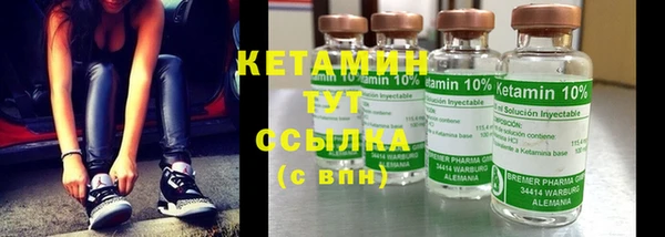 твердый Аркадак