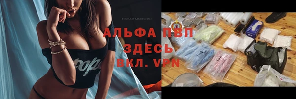дмт Арсеньев