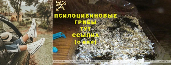 твердый Аркадак