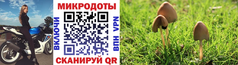 Псилоцибиновые грибы Cubensis Баймак